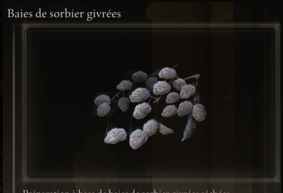 Изображение ягод рябины, замороженных в Elden Ring