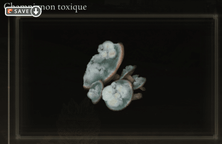 Bild des Toxischen Pilzes in Elden Ring