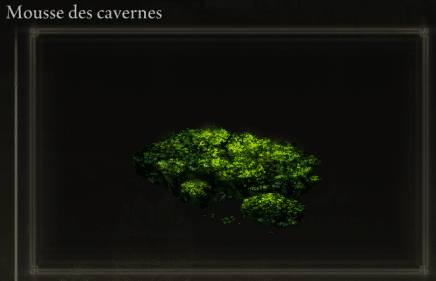 Elden Ringの洞窟の苔のイメージ