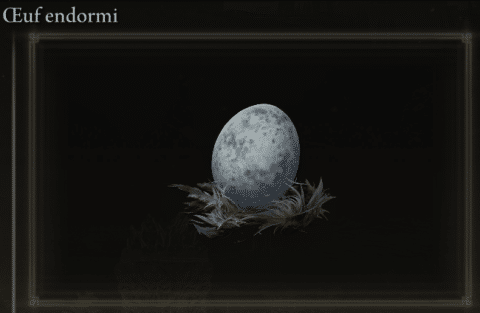 Immagine dell'uovo dormiente in Elden Ring