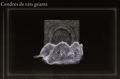Image of the ashes of the giant rats in Elden Ring