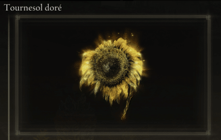 Gambar Bunga Matahari Emas dalam Elden Ring