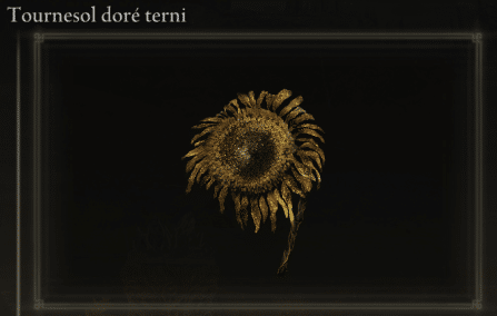 Bild der trüben Goldenen Sonnenblume in Elden Ring