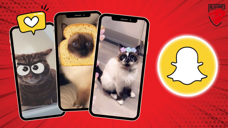 Ilustração da imagem para o nosso artigo "Que filtros do Snapchat funcionam em gatos".