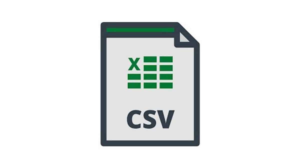 What Is A CSV File Alucare