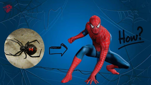 Bild zur Darstellung von spider-man